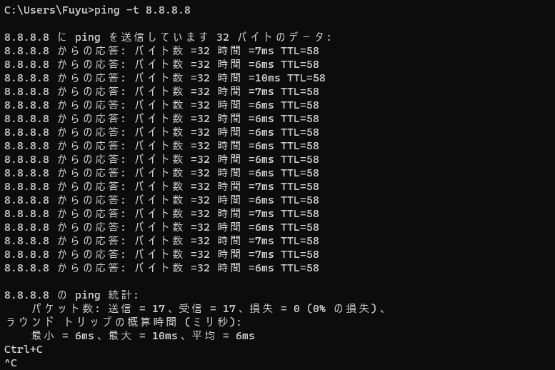 ping送信時のオプション