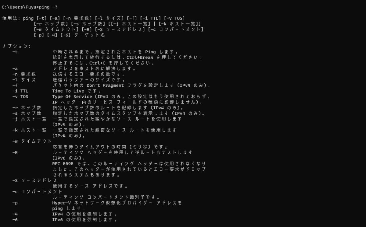 ping すべてのオプション