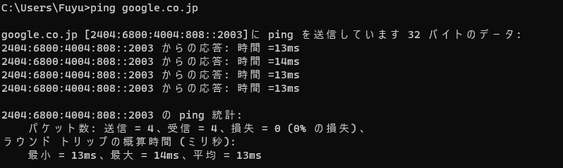 ping google